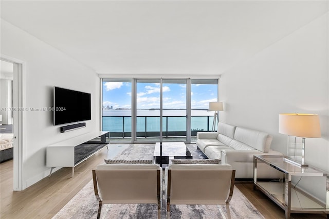 living room with light hardwood / wood-style floors and a wall of windows