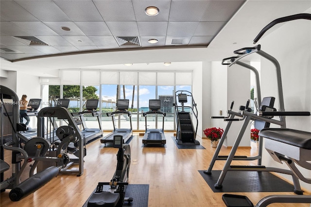 gym with a paneled ceiling and hardwood / wood-style flooring