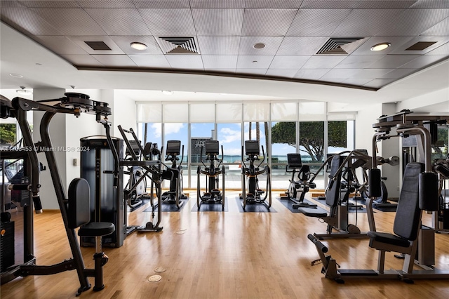 workout area featuring hardwood / wood-style floors, a paneled ceiling, and a wall of windows