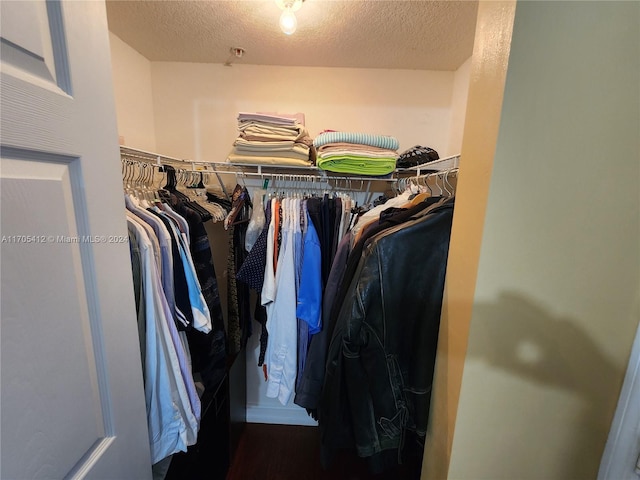 walk in closet with dark hardwood / wood-style flooring