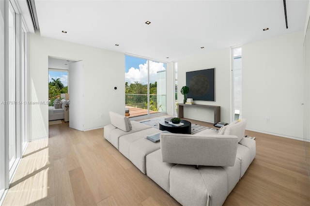 living room with light wood-type flooring