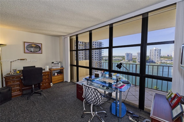 office area with carpet flooring, a healthy amount of sunlight, and a textured ceiling