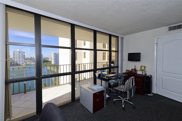 home office featuring carpet flooring, a textured ceiling, expansive windows, and a healthy amount of sunlight