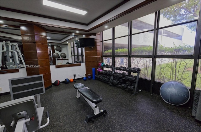 exercise room with plenty of natural light and a raised ceiling