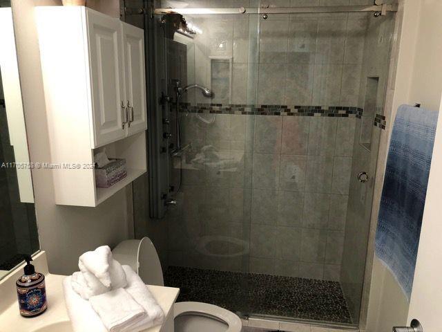 bathroom featuring vanity, toilet, and walk in shower