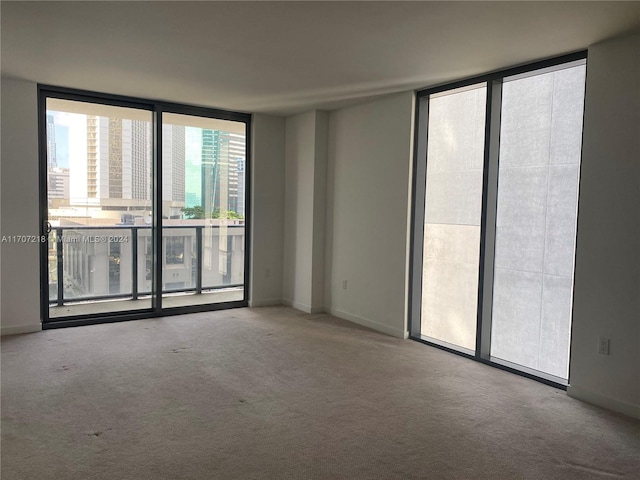 carpeted empty room with expansive windows