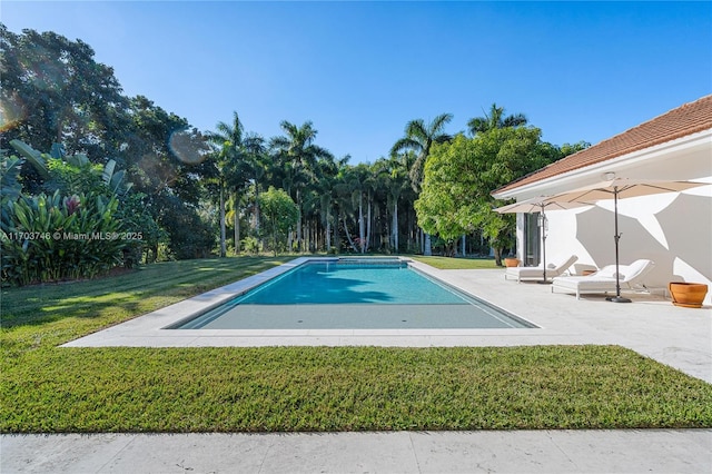 view of swimming pool with a lawn and a patio