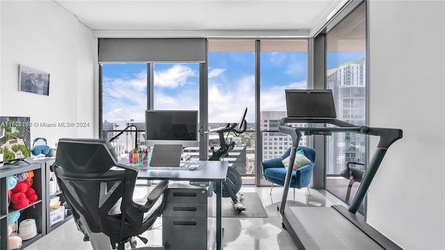 office area featuring a healthy amount of sunlight and a wall of windows