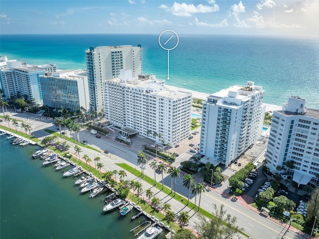 aerial view with a water view