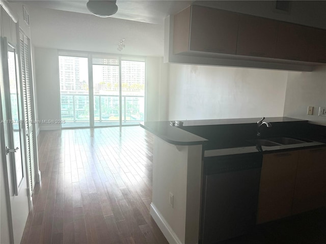 kitchen with sink and dark hardwood / wood-style floors