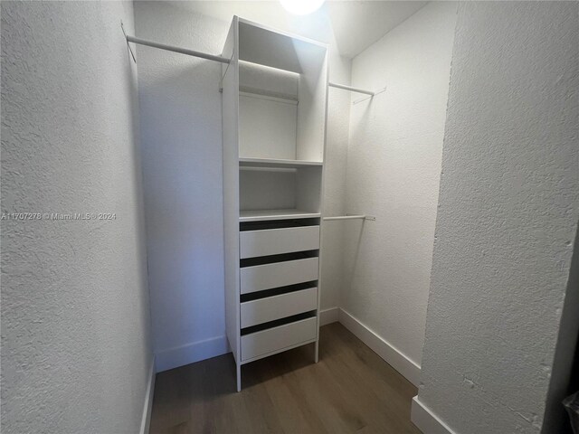 walk in closet featuring dark hardwood / wood-style floors