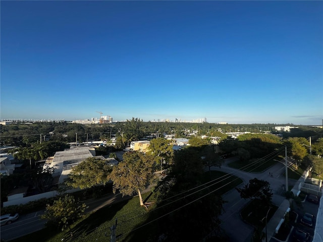 bird's eye view