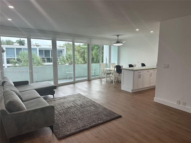 living room featuring ceiling fan and hardwood / wood-style floors