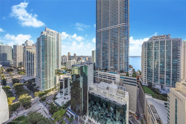 property's view of city featuring a water view