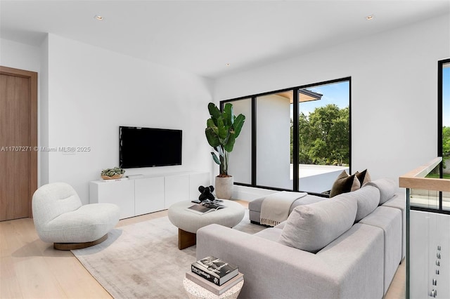 living room featuring hardwood / wood-style floors