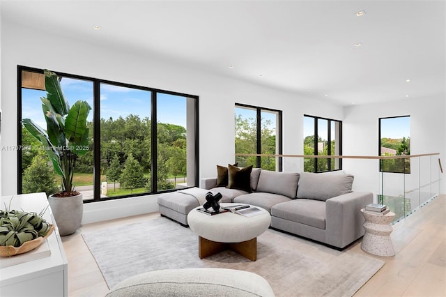 living room featuring light hardwood / wood-style flooring