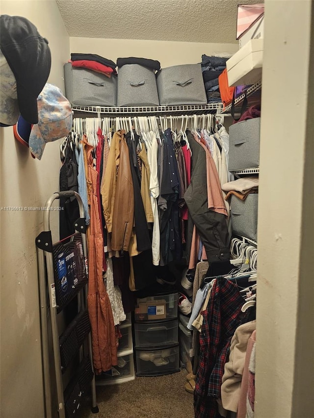 spacious closet featuring carpet floors