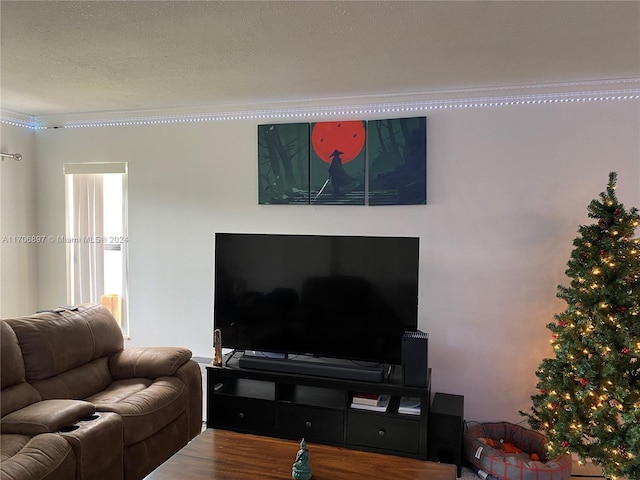 living room with a textured ceiling and hardwood / wood-style flooring