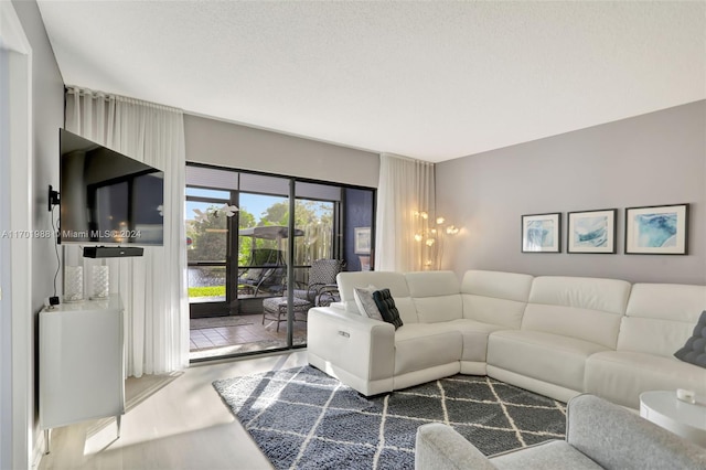 living room featuring hardwood / wood-style flooring and a textured ceiling