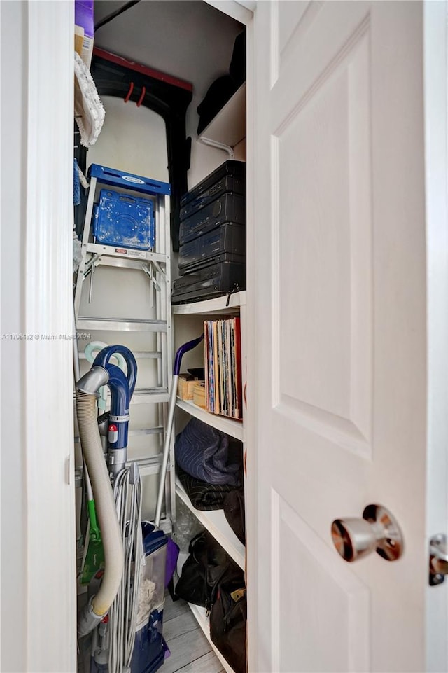 walk in closet with wood-type flooring