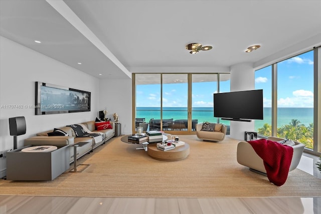 living room featuring floor to ceiling windows, plenty of natural light, and light hardwood / wood-style floors