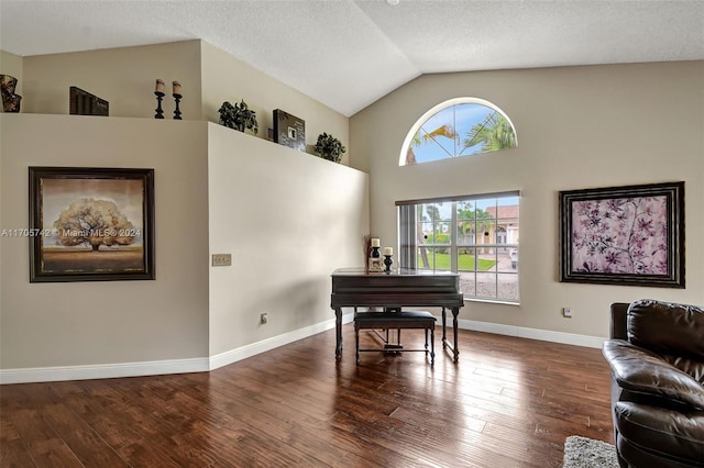 living area with high vaulted ceiling, a textured ceiling, and hardwood / wood-style flooring