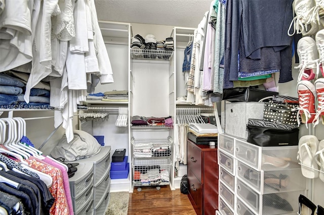 spacious closet featuring dark wood-type flooring