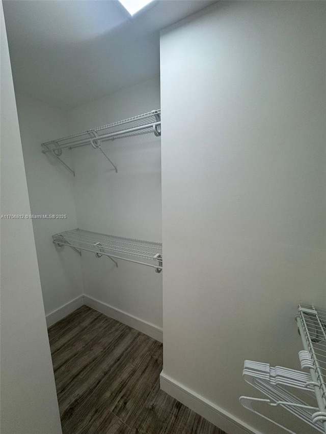 walk in closet featuring dark hardwood / wood-style flooring