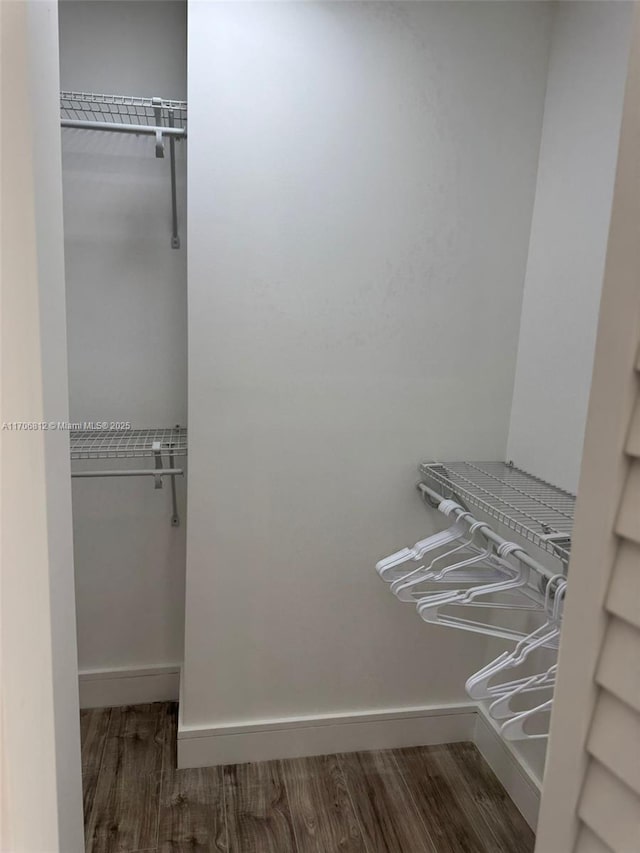 spacious closet featuring dark hardwood / wood-style floors