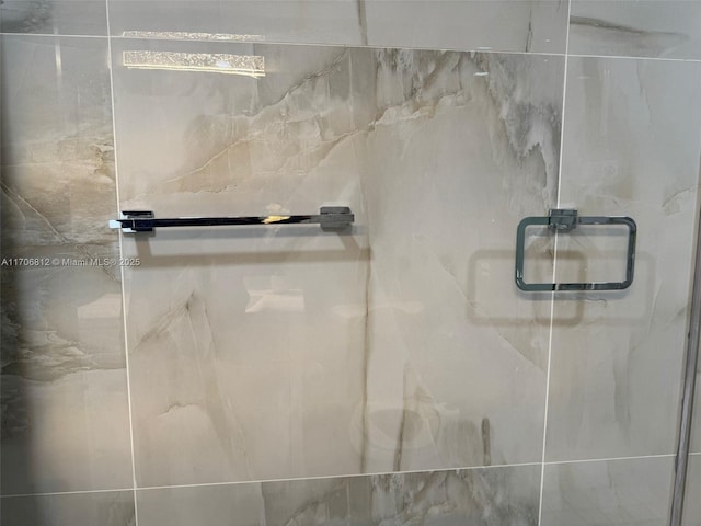 interior details featuring walk in shower