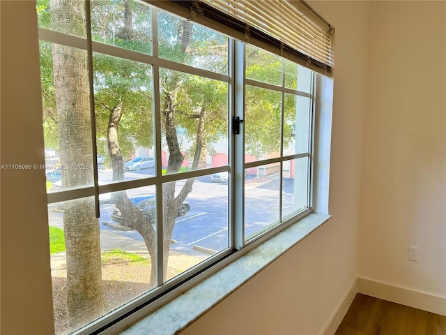 interior details featuring baseboards and wood finished floors