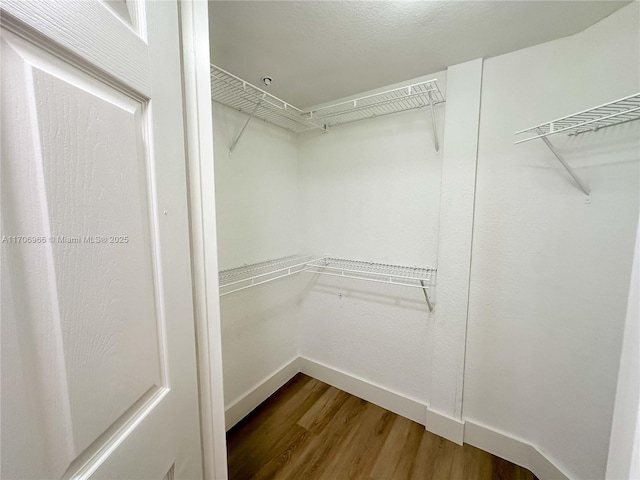 spacious closet with wood finished floors