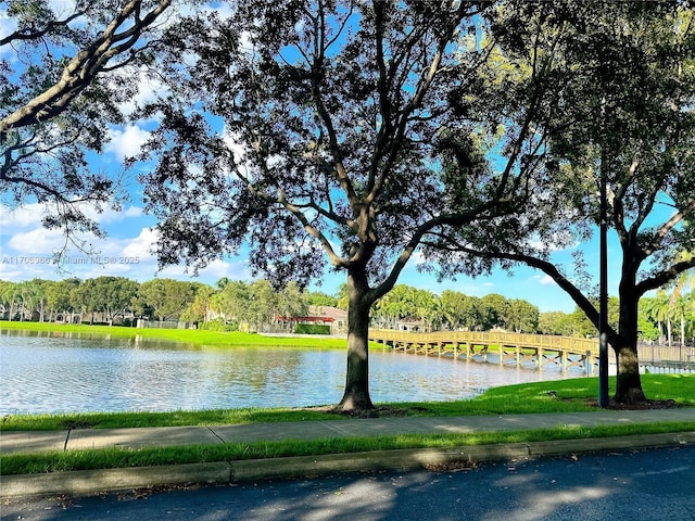 property view of water