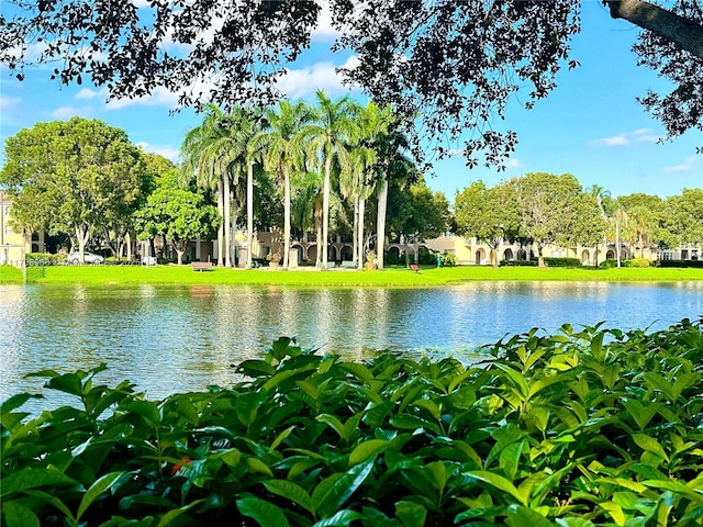 property view of water