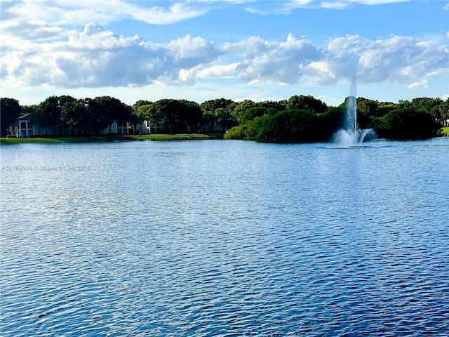 property view of water