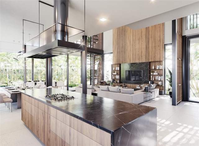 kitchen with a healthy amount of sunlight, a kitchen island, island exhaust hood, and stainless steel gas cooktop