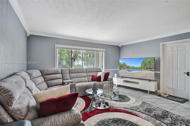 living room featuring a textured ceiling and crown molding