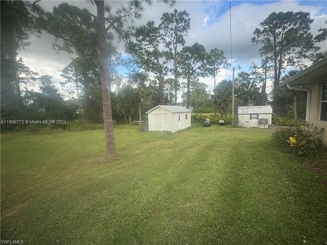 view of yard with a storage shed