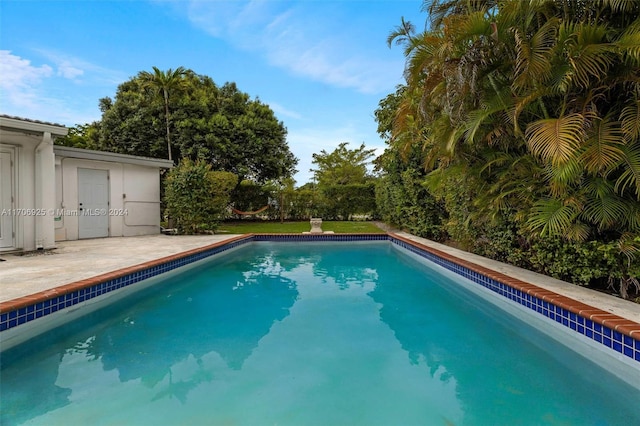 view of swimming pool with a patio area