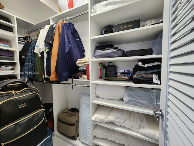 view of spacious closet