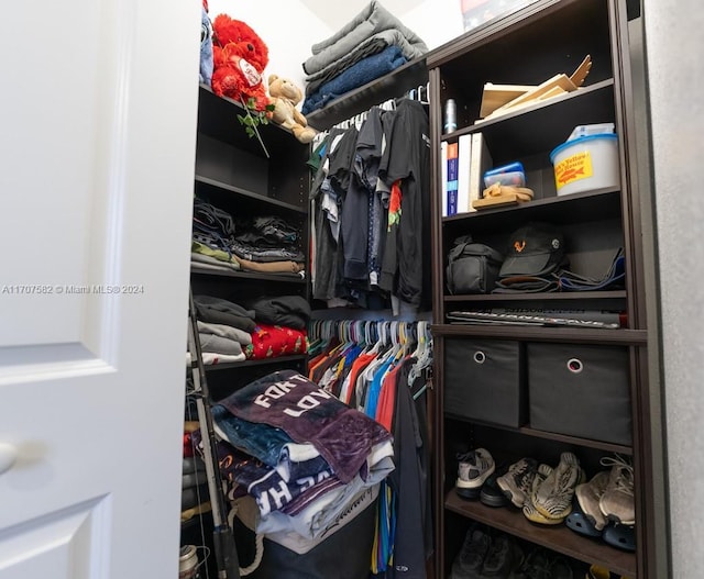 view of walk in closet