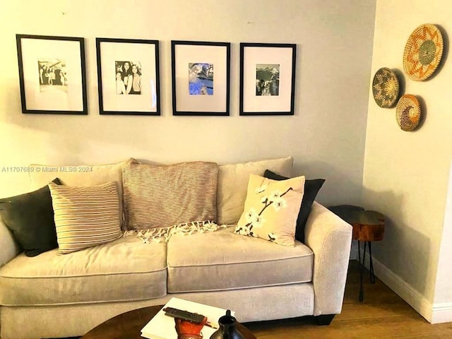 living room featuring wood-type flooring