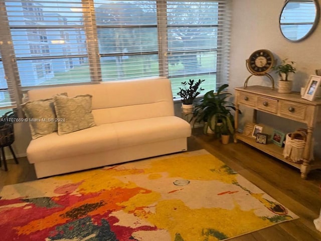 sitting room with hardwood / wood-style floors