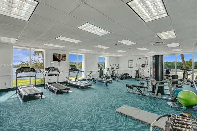 exercise room featuring carpet, a wall of windows, and a wealth of natural light