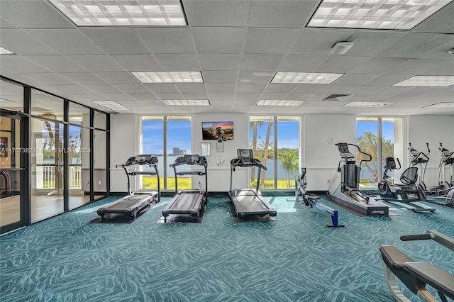 workout area with carpet, a paneled ceiling, and a wall of windows