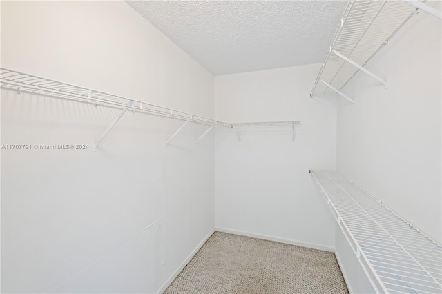 spacious closet with carpet flooring