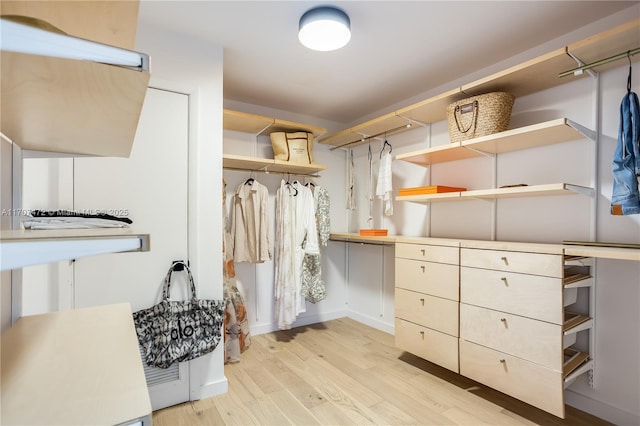 spacious closet featuring light hardwood / wood-style floors