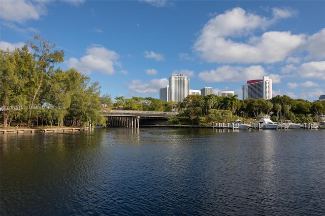 property view of water featuring a city view