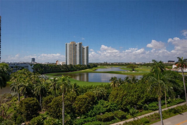 view of water feature featuring a view of city