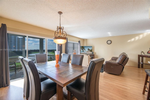 dining space featuring light hardwood / wood-style floors and a textured ceiling